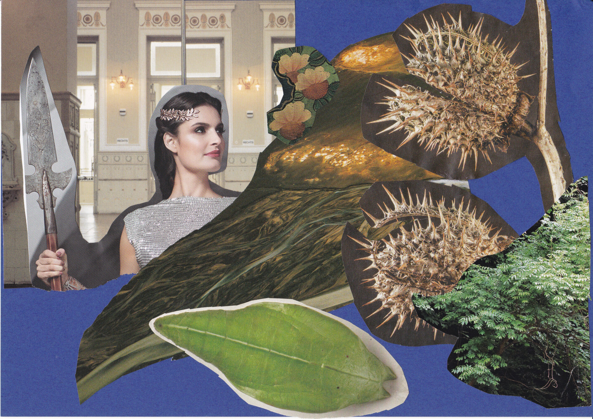 Collage 08.11.25