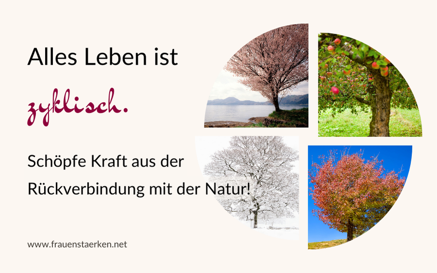 Zyklisch leben: Kraft schöpfen aus der Rückverbindung mit der Natur